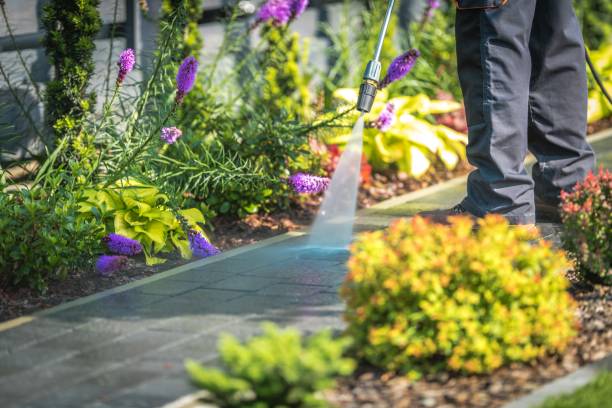 La Presa, CA Pressure Washing Services Company