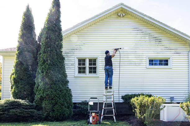 Best Driveway Pressure Washing  in La Presa, CA